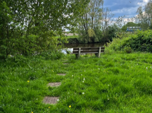 28_Umgebung-2 Bank_Groß (IMG_0643)