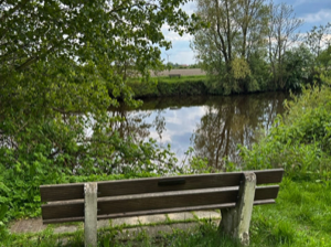 29_Umgebung-3 Bank_Groß (IMG_0644)