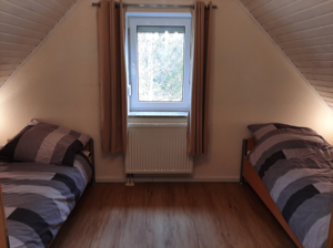 CAR=12_DG_18.11.2024